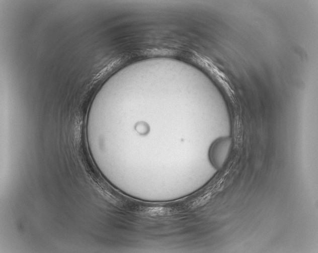 X0000115800153200912111216