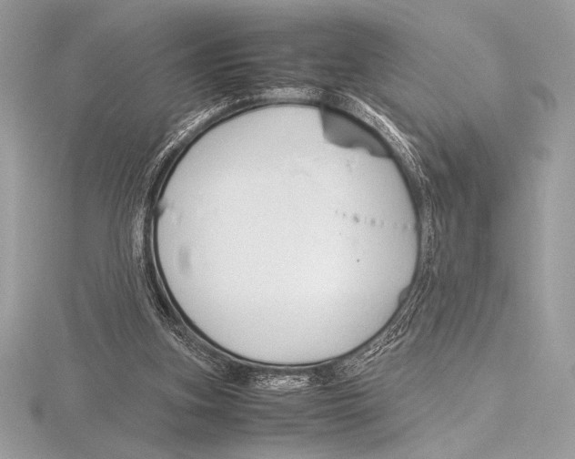 X0000115800155200912111216