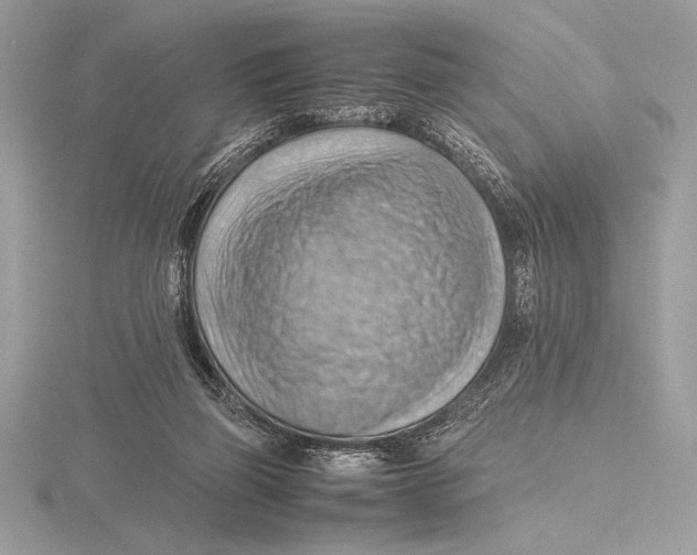 X0000115800165200912111216