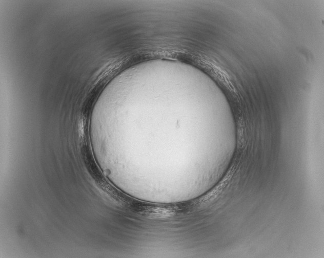 X0000115800166200912111216