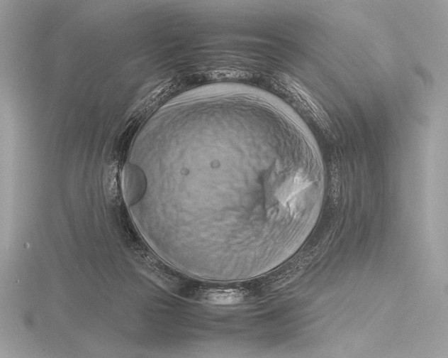 X0000115800169200912111216