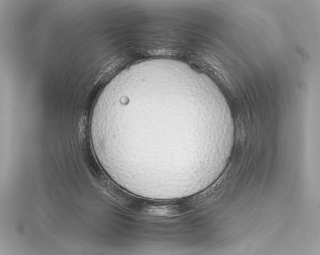 X0000115800171200912111216