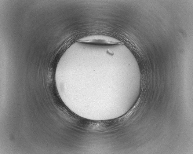 X0000115800174200912111216