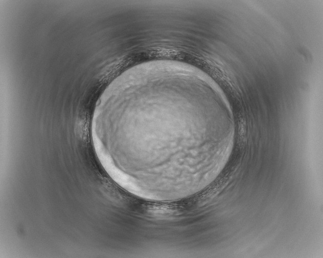 X0000115800177200912111216