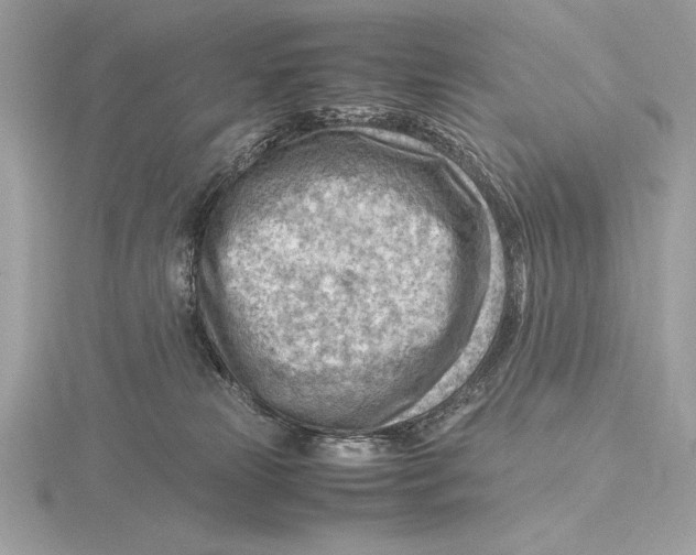 X0000115800181200912111217