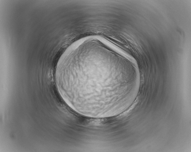 X0000115800182200912111217