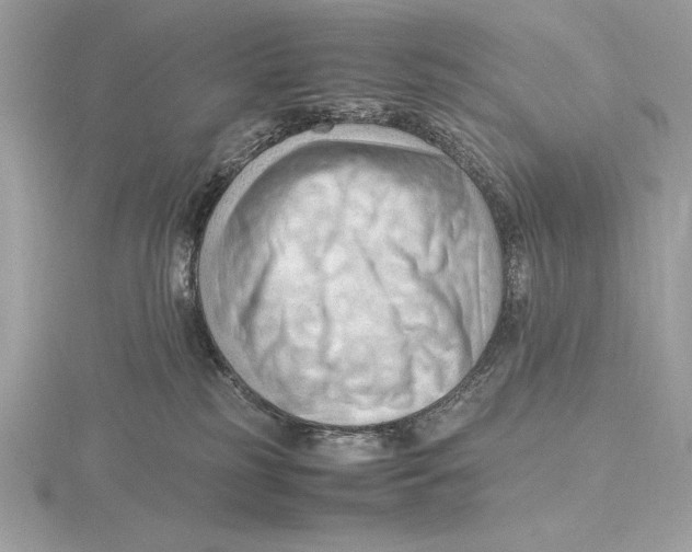 X0000115800185200912111217