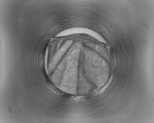 X0000115800186200912111217