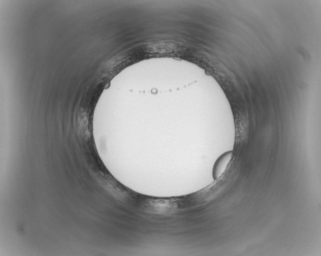 X0000115800187200912111217