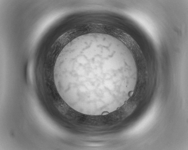 X0000115800189200912111217