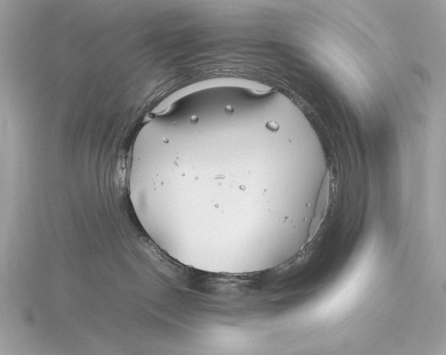 X0000115800190200912111217