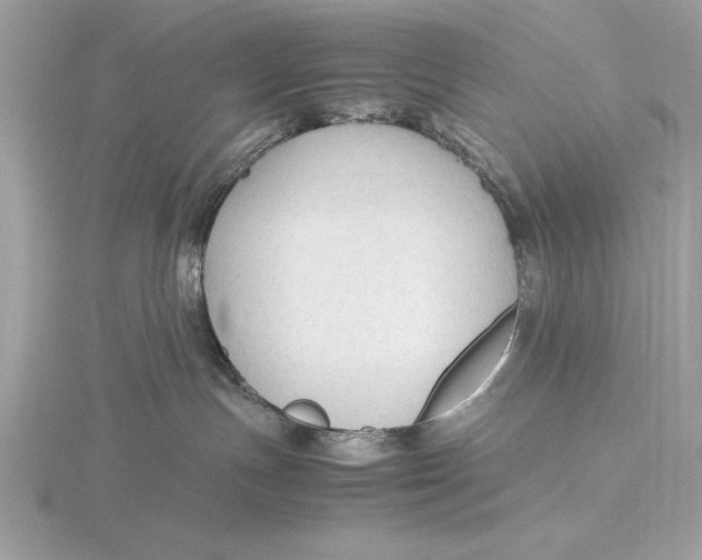 X0000115800191200912111217