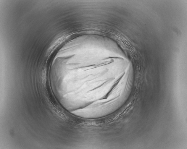 X0000115800194200912111216