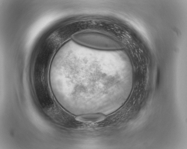 X0000115800195200912111216