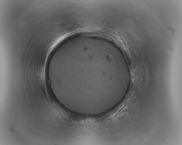 X0000115800196200912111216