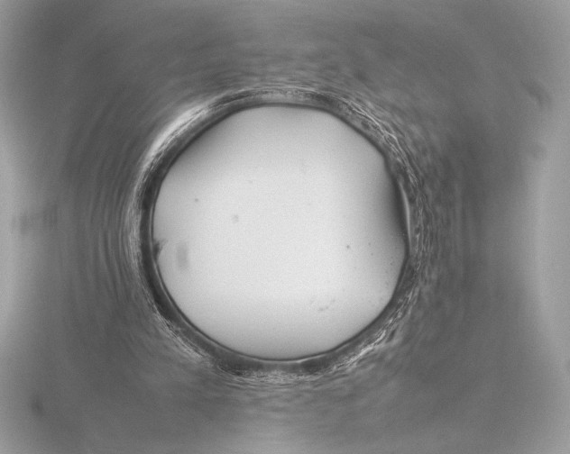 X0000115800197200912111216