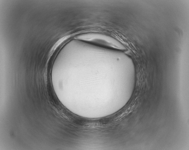 X0000115800200200912111216