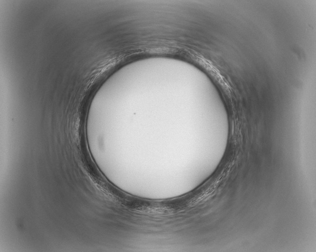 X0000115800201200912111216