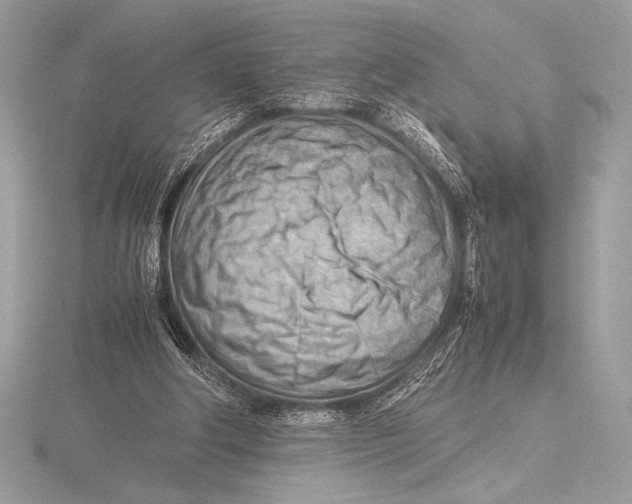 X0000115800202200912111216