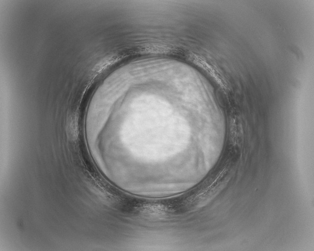 X0000115800203200912111216