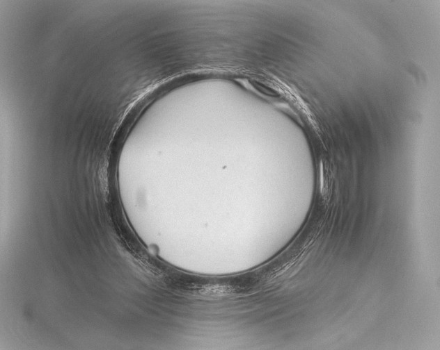 X0000115800204200912111216