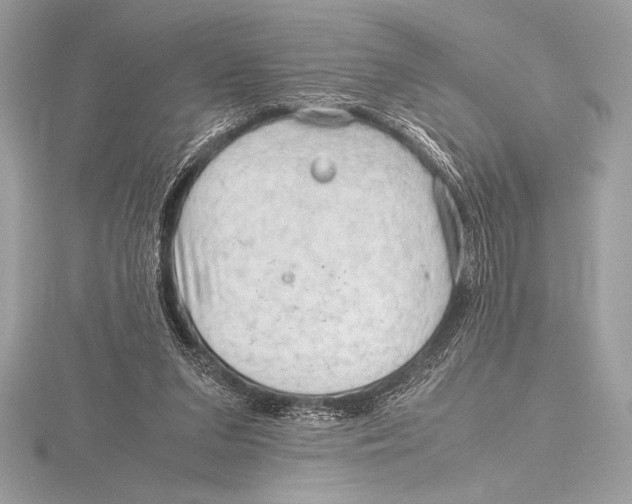 X0000115800207200912111216