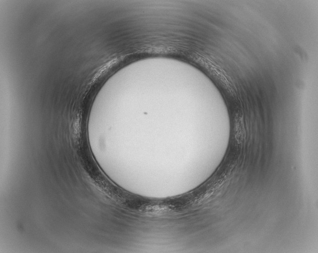 X0000115800208200912111216