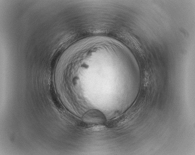 X0000115800210200912111216