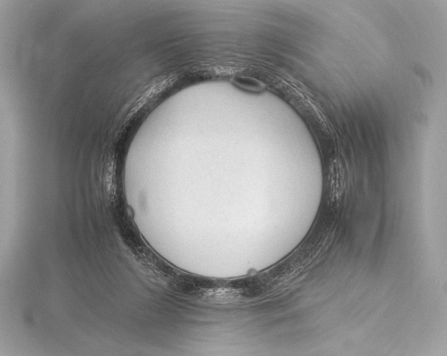 X0000115800212200912111216