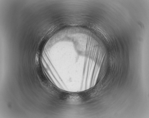 X0000115800214200912111216