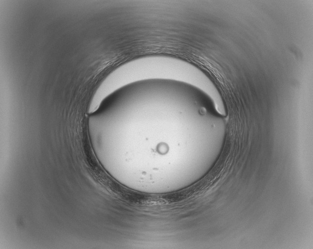 X0000115800215200912111216