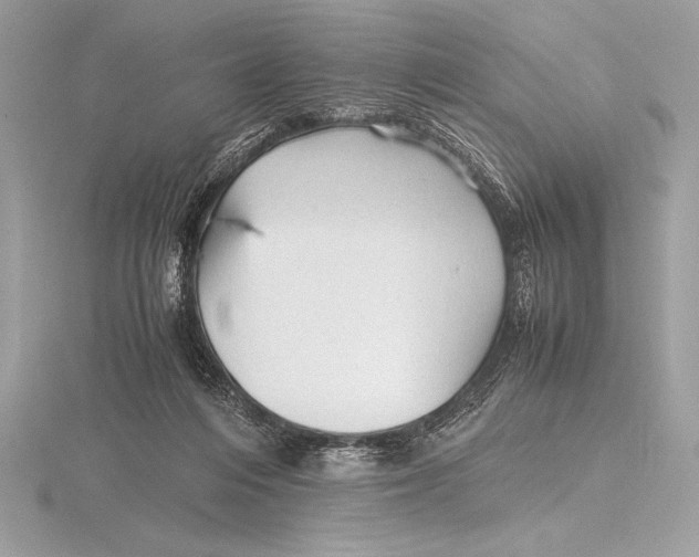 X0000115800216200912111216