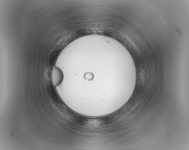 X0000115800218200912111216