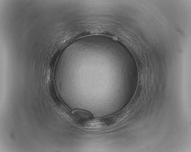 X0000115800219200912111216