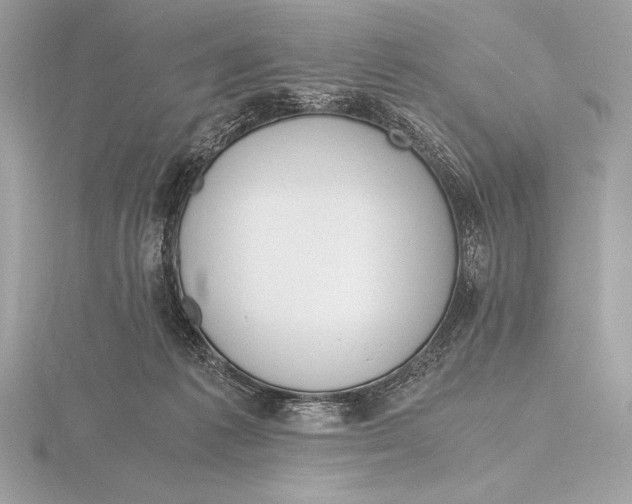 X0000115800221200912111216