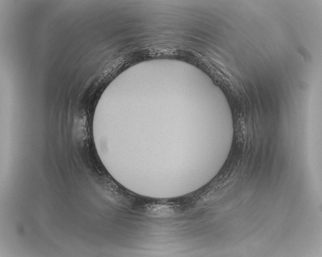 X0000115800224200912111216