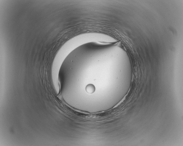 X0000115800225200912111216