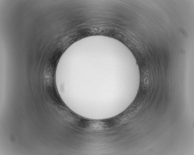 X0000115800226200912111216