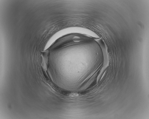 X0000115800227200912111216