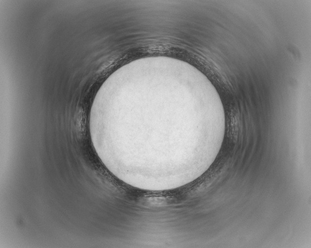 X0000115800228200912111216