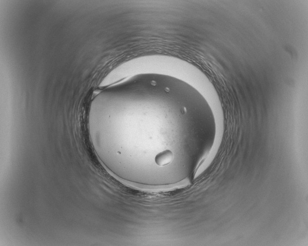 X0000115800229200912111216