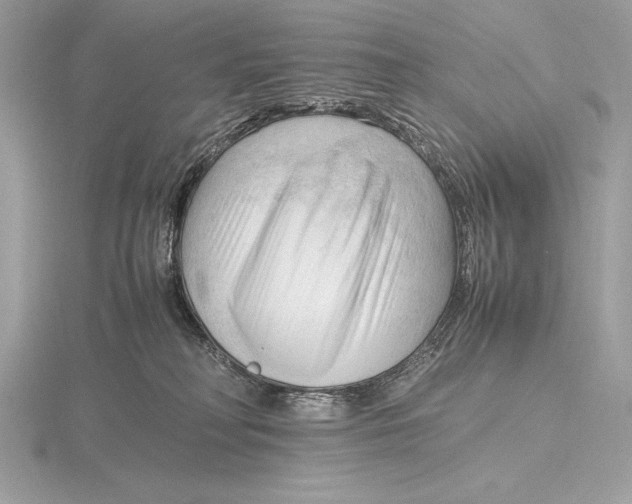 X0000115800230200912111216