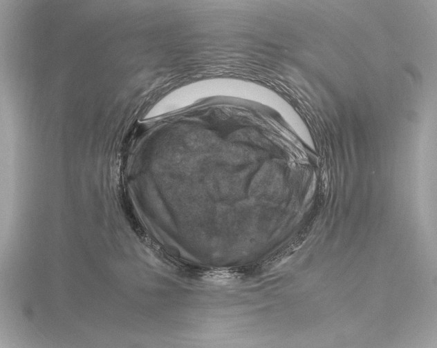 X0000115800231200912111216