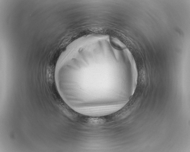 X0000115800234200912111216