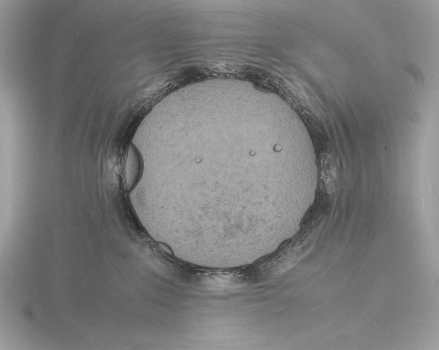 X0000115800235200912111216