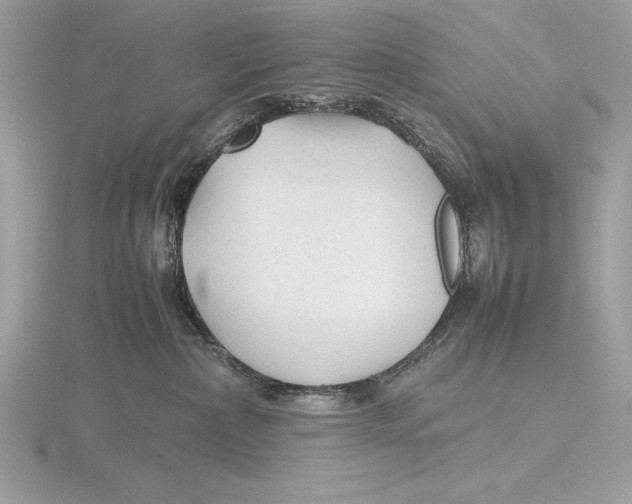 X0000115800236200912111216