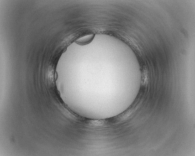 X0000115800238200912111215