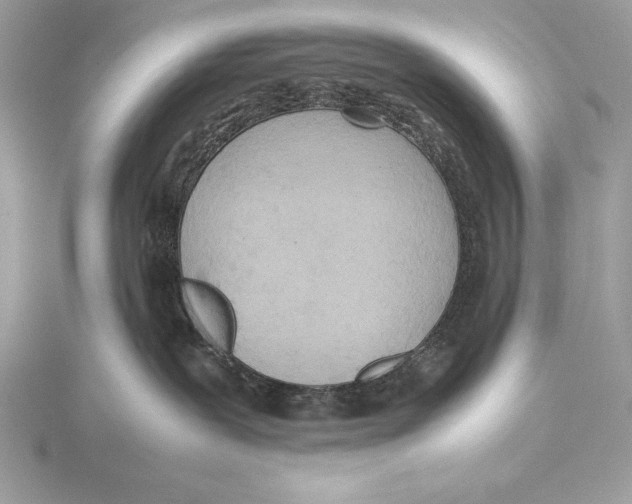 X0000115800239200912111215