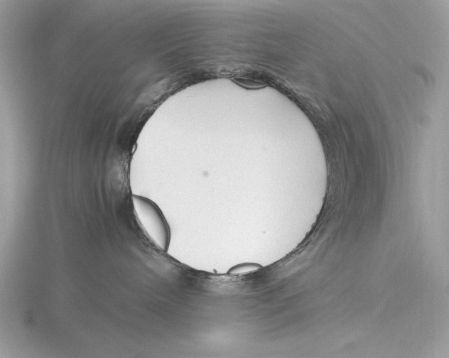 X0000115800240200912111215