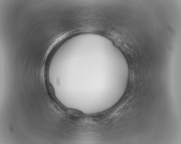 X0000115800244200912111215